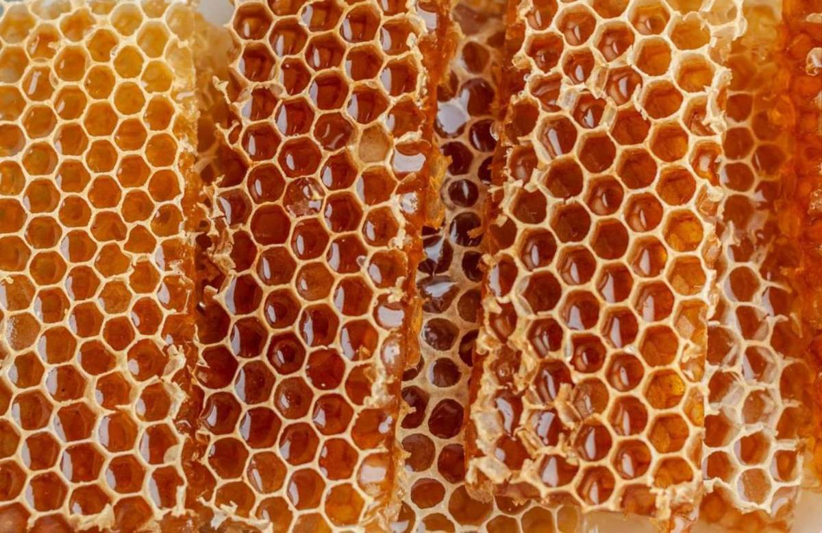 Honeycomb filled with honey