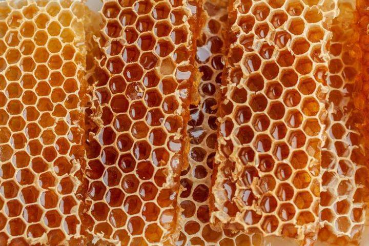 Honeycomb